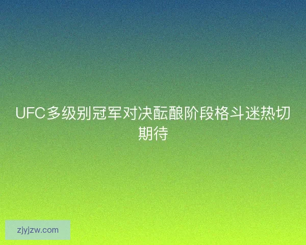 UFC多级别冠军对决酝酿阶段格斗迷热切期待